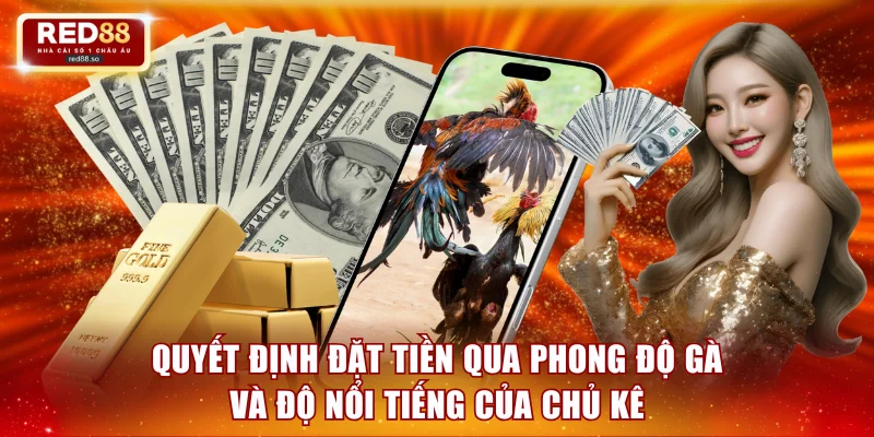 Quyết định đặt tiền qua phong độ gà và độ nổi tiếng của chủ kê