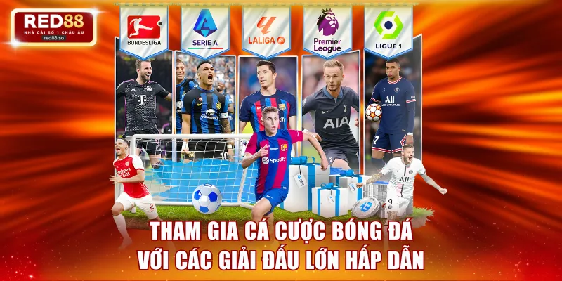 Tham gia cá cược túc cầu với các giải đấu lớn hấp dẫn 