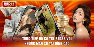 Trực tiếp đá gà tre
