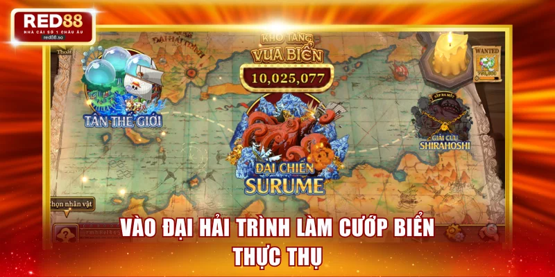 Vào đại hải trình làm cướp biển thực thụ