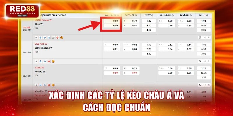 Xác định các tỷ lệ kèo châu Á và cách đọc chuẩn
